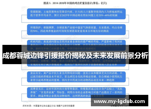 成都蓉城边锋引援报价揭秘及未来发展前景分析