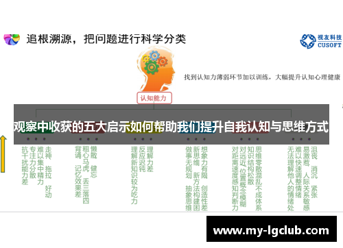 观察中收获的五大启示如何帮助我们提升自我认知与思维方式