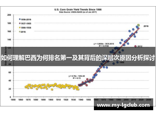 如何理解巴西为何排名第一及其背后的深层次原因分析探讨