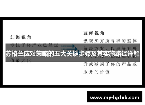 苏格兰应对策略的五大关键步骤及其实施路径详解