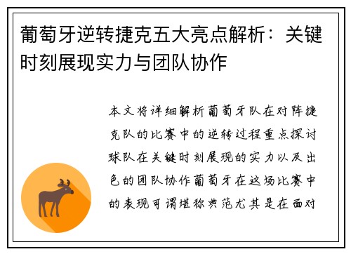 葡萄牙逆转捷克五大亮点解析：关键时刻展现实力与团队协作