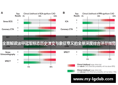 全面解读法甲冠军标志历史演变与象征意义的全景深度综合详尽指南 全面解读法甲冠军标志历史演变与象征意义的全景深度综合详尽指南