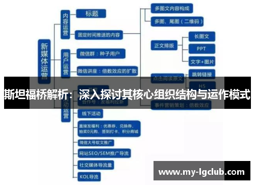 斯坦福桥解析：深入探讨其核心组织结构与运作模式