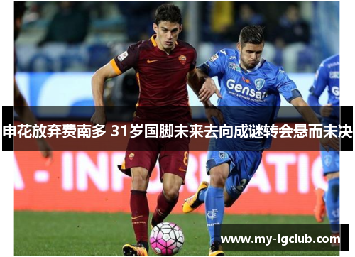 申花放弃费南多 31岁国脚未来去向成谜转会悬而未决